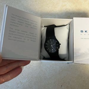 Skagen Black Dial Titanium Stainless Steel Mesh Watch
